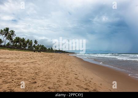 Blick auf den Strand von Imbassai, Bahia, Brasilien. Wunderschöner Strand im Nordosten mit einem Fluss und Palmen. Stockfoto