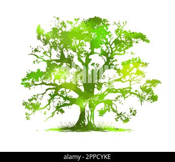 Vektor handgezeichnet Baum Aquarell Darstellung auf weißer Vektor Darstellung. Stock Vektor
