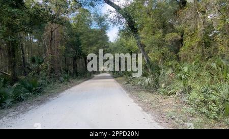 Die Fahrt durch den Wald im Timucuan Ecological National Park in Jacksonville, Florida. Stockfoto