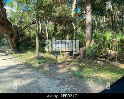 Die Fahrt durch den Wald im Timucuan Ecological National Park in Jacksonville, Florida. Stockfoto