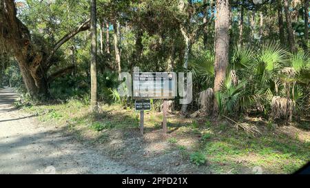 Die Fahrt durch den Wald im Timucuan Ecological National Park in Jacksonville, Florida. Stockfoto