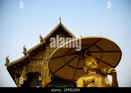 Phra Sangkachai, mit dem fetten Mönch im Wat Mung Muang Tempel in Chiang Rai Stockfoto