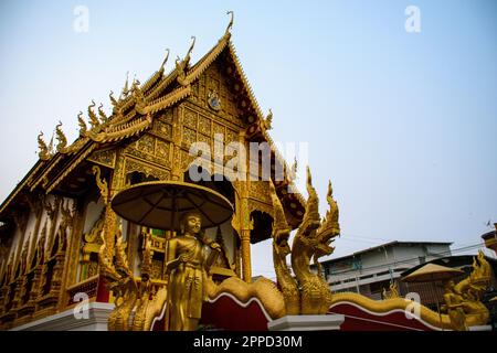 Phra Sangkachai, mit dem fetten Mönch im Wat Mung Muang Tempel in Chiang Rai Stockfoto