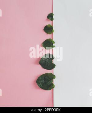 Waldbaumlinie aus grünen Blättern auf pinkfarbenem und weißem Hintergrund. Minimales Naturkonzept. Flach verlegt. Stockfoto