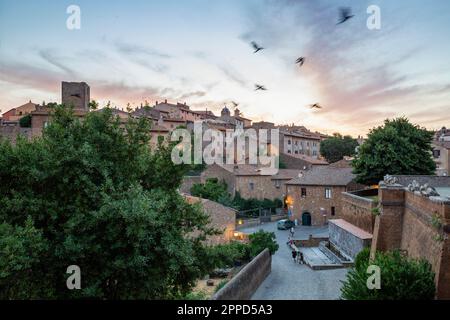 Italien, Latium, Toskana, Vogelschar, die in der Dämmerung über der mittelalterlichen Stadt fliegen Stockfoto