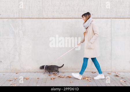 Eine Frau, die mit einer Hauskatze auf dem Bürgersteig an der Wand spaziert Stockfoto