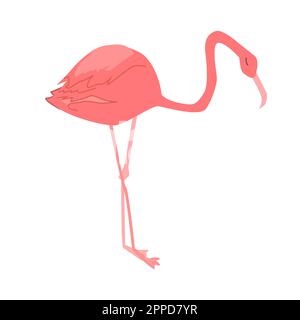 flamingo in Korallenfarbe im Cartoon-Stil Stock Vektor