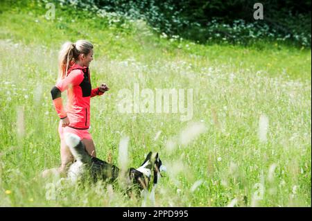 Eine Frau, die mit einem Hund auf grünem Feld läuft, an sonnigen Tagen Stockfoto