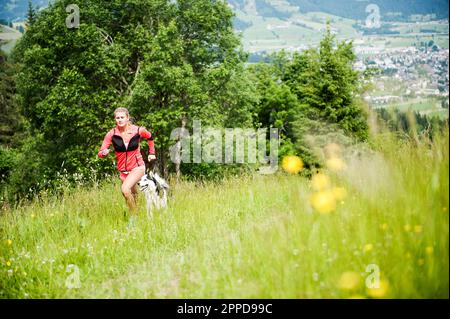 Junge Frau joggt mit Husky Dog auf dem Feld an sonnigen Tagen Stockfoto