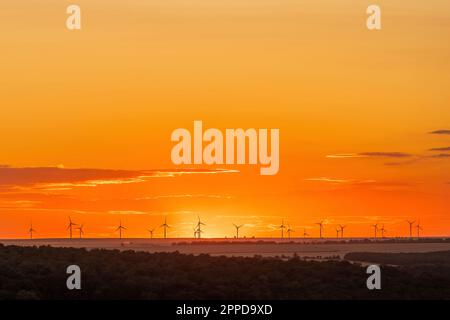 Windturbinen auf dem Feld bei Sonnenuntergang Stockfoto