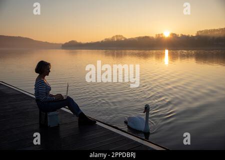 Freiberufler, der morgens am Laptop arbeitet, während ein Schwan im See schwimmt Stockfoto