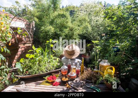 Mann mit Hut, der im Garten mit frischem Öl und hausgemachtem Essig sitzt Stockfoto