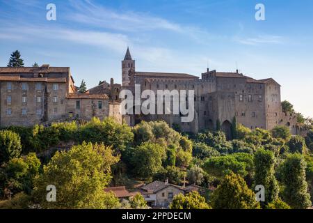 Italien, Latium, Viterbo, Bäume vor dem Palazzo dei Papi Stockfoto