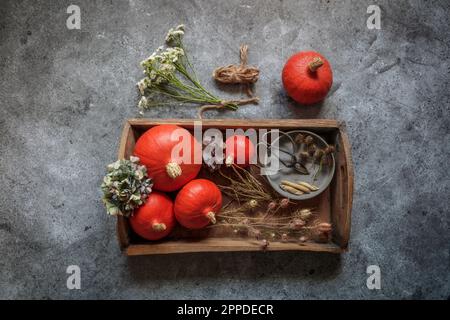 Studioaufnahme von Kürbissen, Samen und getrockneten Pflanzen auf einem Holztablett Stockfoto