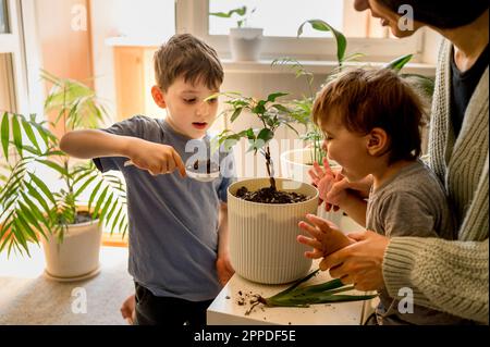 Mutter mit Kindern, die sich zu Hause um Pflanzen kümmern Stockfoto