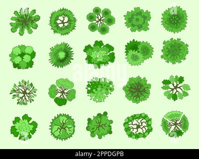 Baumstruktur, Draufsicht. Verschiedene grüne Pflanzen Karte Top View Cartoon Elemente aktuelle Sammlung von Vektorbäumen Stock Vektor