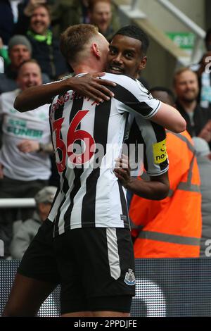 Newcastle, Großbritannien. Am 23. April 2023Newcastle feiert Alexander Isak von United sein 5. Tor während des Premier League-Spiels zwischen Newcastle United und Tottenham Hotspur in St. James's Park, Newcastle, Sonntag, den 23. April 2023. (Foto: Mark Fletcher | MI News) Guthaben: MI News & Sport /Alamy Live News Stockfoto