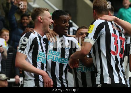 Newcastle, Großbritannien. Am 23. April 2023Newcastle feiert Alexander Isak von United sein 5. Tor während des Premier League-Spiels zwischen Newcastle United und Tottenham Hotspur in St. James's Park, Newcastle, Sonntag, den 23. April 2023. (Foto: Mark Fletcher | MI News) Guthaben: MI News & Sport /Alamy Live News Stockfoto