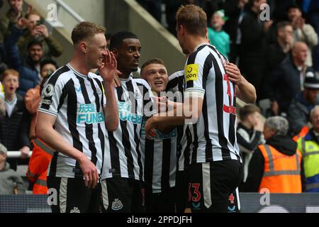 Newcastle, Großbritannien. Am 23. April 2023Newcastle feiert Alexander Isak von United sein 5. Tor während des Premier League-Spiels zwischen Newcastle United und Tottenham Hotspur in St. James's Park, Newcastle, Sonntag, den 23. April 2023. (Foto: Mark Fletcher | MI News) Guthaben: MI News & Sport /Alamy Live News Stockfoto