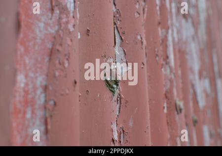 Rostiges Rotes Dachbügel. Stockfoto