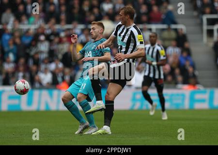 Newcastle, Großbritannien. 23. April 2023Dan Burn of Newcastle United in Action mit Tottenham Hotspurs Dejan Kulusevski während des Premier League-Spiels zwischen Newcastle United und Tottenham Hotspur in St. James's Park, Newcastle, Sonntag, den 23. April 2023. (Foto: Mark Fletcher | MI News) Guthaben: MI News & Sport /Alamy Live News Stockfoto