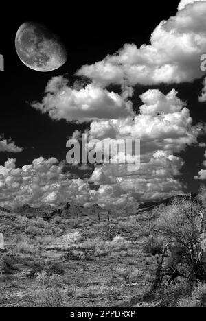 Mond und Landschaft in der Wüste von Arizona Stockfoto