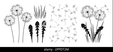 Löwenzahn bearbeitbare Bilder Blumen mit Blättern, Seeds Silhouette Set Illustration. Abstrakte Löwenzahn-Gravuren isolierter Pflanzen. Botanisches Blumenmotiv für Postkarten, Posterkarten, Cover-Vektoren Stock Vektor