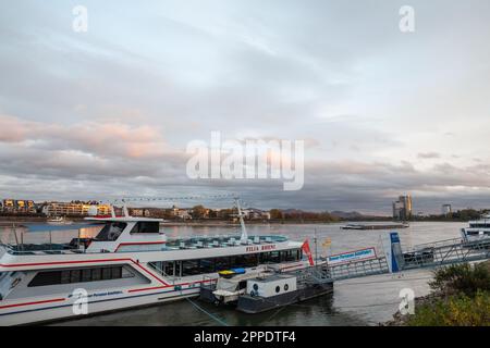 Foto eines Panoramablicks über die Skyline von Bonn mit Schwerpunkt auf dem Rhein und Kreuzfahrtschiffen vor dem Hotel, bereit für eine Kreuzfahrt auf dem rhein. Der Bundesinformationsdienst Stockfoto