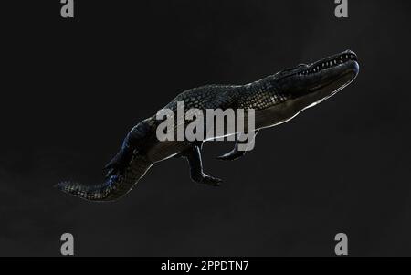 3D-Darstellung eines grünen American alligator auf grauem Hintergrund isoliert, Amerikanische Krokodil. Stockfoto