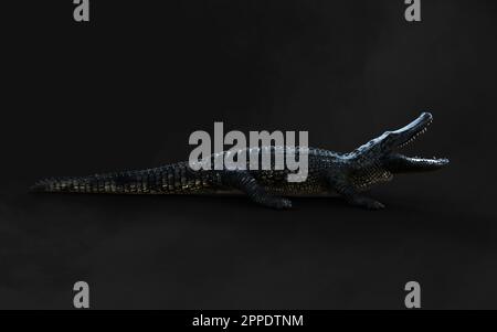 3D-Darstellung eines grünen American alligator auf grauem Hintergrund isoliert, Amerikanische Krokodil. Stockfoto