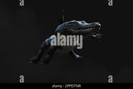 3D-Darstellung eines grünen American alligator auf grauem Hintergrund isoliert, Amerikanische Krokodil. Stockfoto