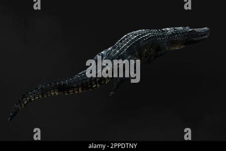 3D-Darstellung eines grünen American alligator auf grauem Hintergrund isoliert, Amerikanische Krokodil. Stockfoto