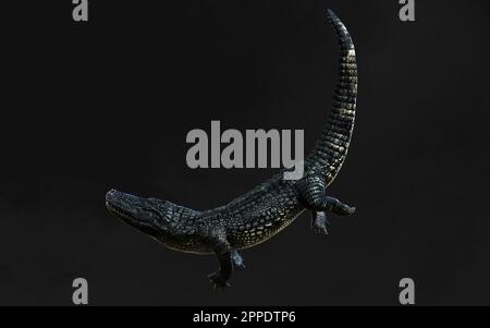 3D-Darstellung eines grünen American alligator auf grauem Hintergrund isoliert, Amerikanische Krokodil. Stockfoto