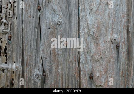 Holzbohlen Auf Einer Alten Scheune. Stockfoto