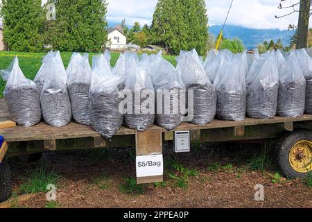 Kompostierte Gülle in Plastiktüten und zum Verkauf auf einem Tieflader für 5 $/Beutel. B. C. Kanada. Stockfoto