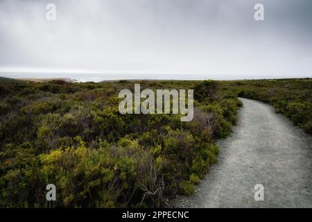 Wanderweg entlang der Küste. Montana de Oro Bluff Trail, Zentralkalifornien Stockfoto