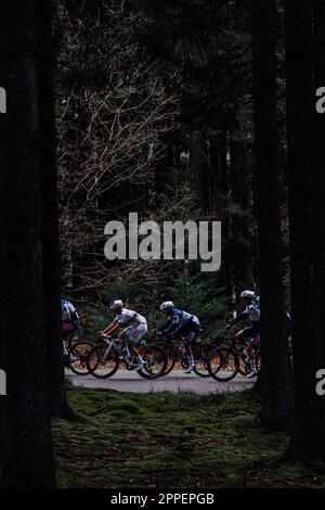 Lüttich, Belgien. 23. April 2023. Bild von Zac Williams/SWpix.com- 23/04/2023 - Radfahren - 2023 Lüttich Bastogne Lüttich - Remco Evenepoel, Soudal Quickstep. Kredit: SWpix/Alamy Live News Stockfoto