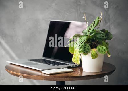 Smartphone, Laptop und Blumentopf in einem Topf auf einem Desktop an einer grauen Wand. Stockfoto