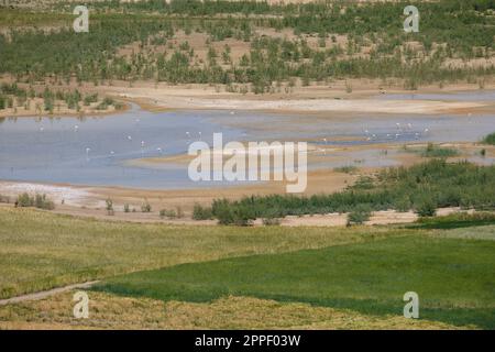 , In der Nähe des Sidi Chahed Reservoirs, Fez, marokko, afrika Stockfoto