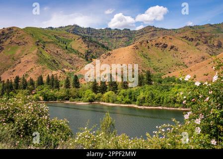 Hells Canyon National Recreation Area in Idaho Stockfoto