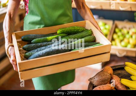 Arbeiter im Obst- und Gemüseladen ist Korb mit Gurke. Stockfoto