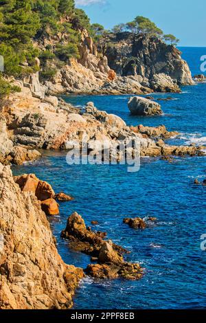 Schöne Details der spanischen Küste an der Costa Brava, in der Nähe der Stadt Palamos Stockfoto