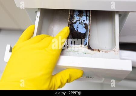 Korrosiver, schimmeliger Kalkabscheider, schmutzige Ablage für Waschmittel und Spülung in gelber Handschuhhand. Stockfoto