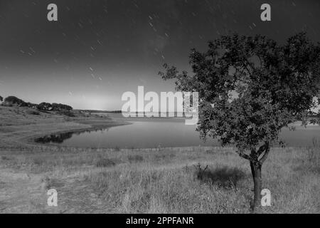 Sternenpfade am Himmel über dem See und einsamen Baum Stockfoto