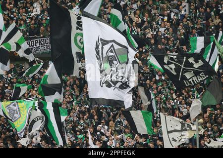 Mönchengladbach, Deutschland. 23. April 2023. firo : 04/23/2023, Fußball, 1. Liga, 1. Bundesliga, Staffel 2022/2023, Gladbach, Borussia Mönchengladbach - Union Berlin 0: 1 Fans Gladbach, Flaggen Credit: dpa/Alamy Live News Stockfoto