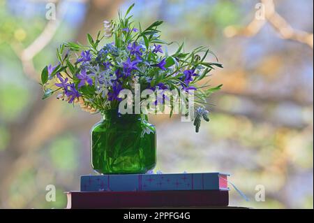 Farbenfrohe Frühlingsblumen in Vase auf Büchern in der Nähe des Fensters Stockfoto
