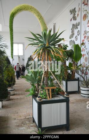 Schloss Hof an der March in NiederÃ¶sterreich - Hofschloss am Marsch in Niederösterreich Stockfoto