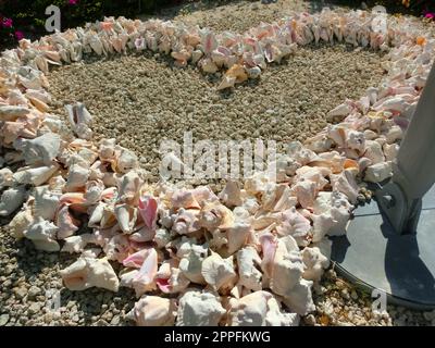 Unterwassergehäuse auf dem Sand am Ufer des Indischen Ozeans. Malediven-Inseln. Stockfoto