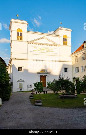 Katholische Kathedrale der Heiligen Peter und Paul in Tallinn, Estland Stockfoto