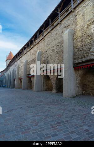 Stadtmauer-Fußweg in Tallinn, Estland Stockfoto